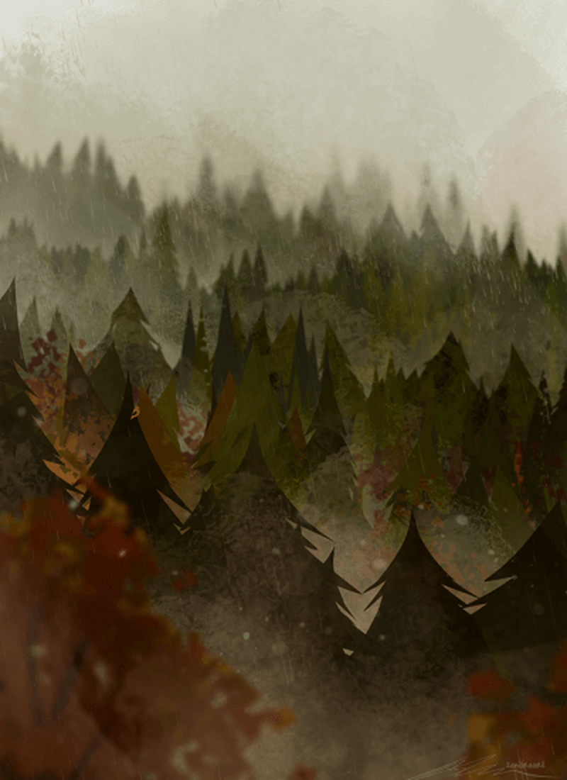 Forest Rain