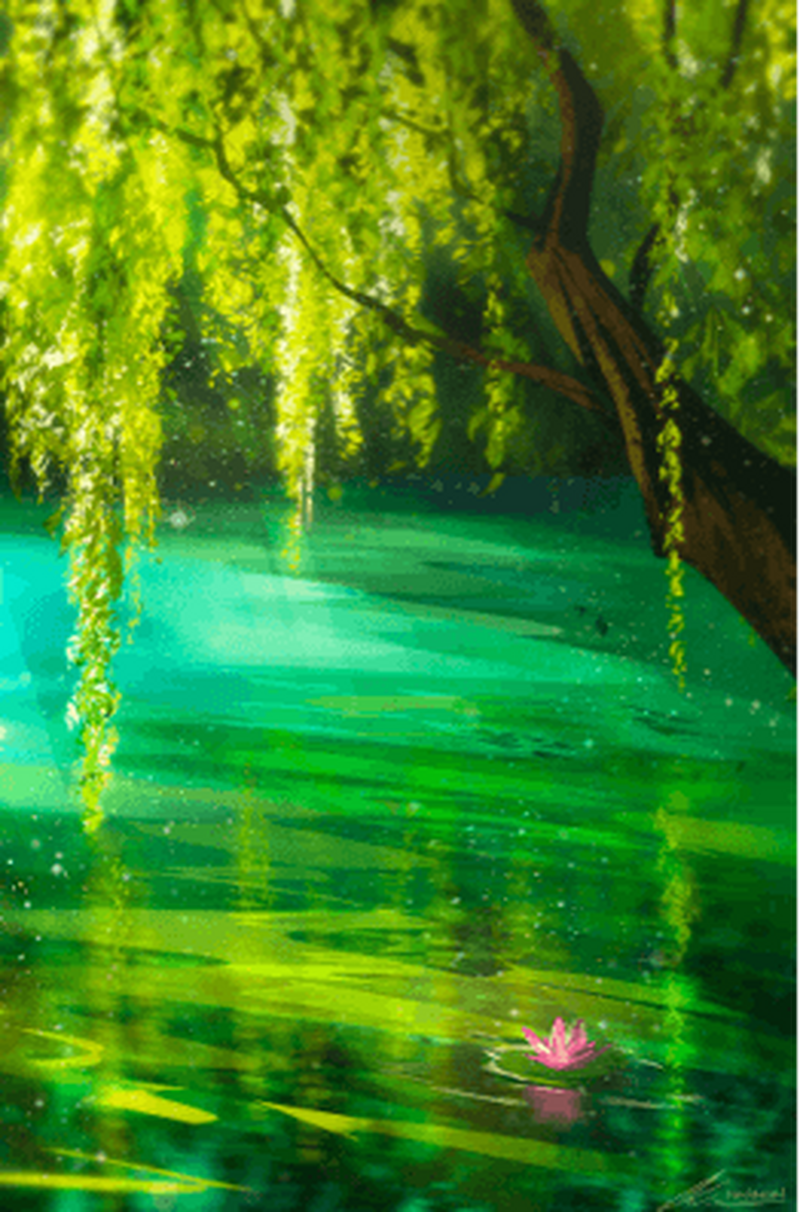Willow
